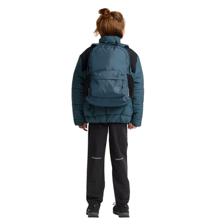 Plecak Jack Wolfskin Rebel Pack 25 (niebieski)