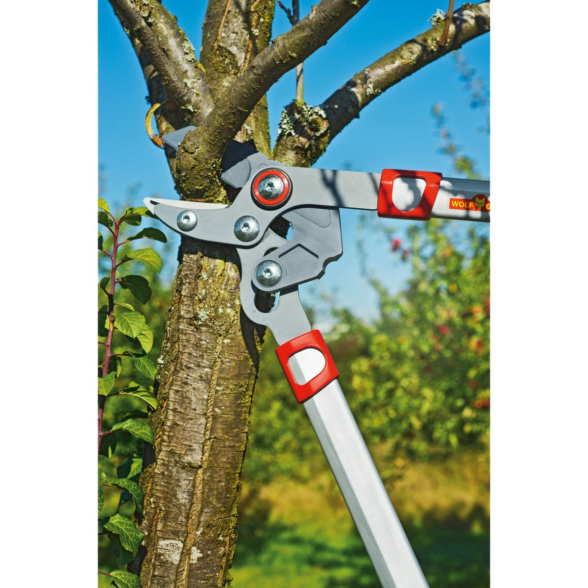 Nożyce do przycinania firmy Wolf-garten basic plus powercut* rs 650 (czerwony żółty)