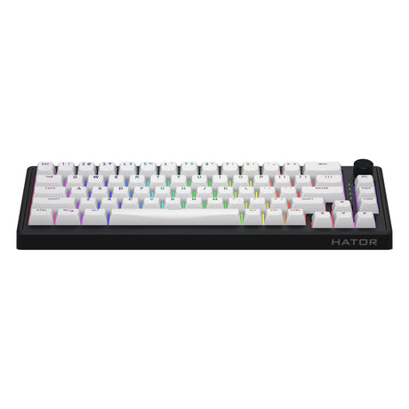 Hator skyfall wireless rgb mechanisch gaming toetsenbord (zwart, us lay-out (qwerty), hator aurum sterling, 65%, rgb, double shot abs, hot-swap, 2.4ghz | bluetooth | usb-c)
