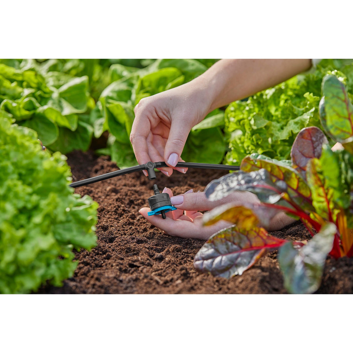 Gardena Trójnik do zraszaczy końcowych kroplowników 4,6 mm (3 16 ) przyłącze (ciemnoszary, 5 szt.)