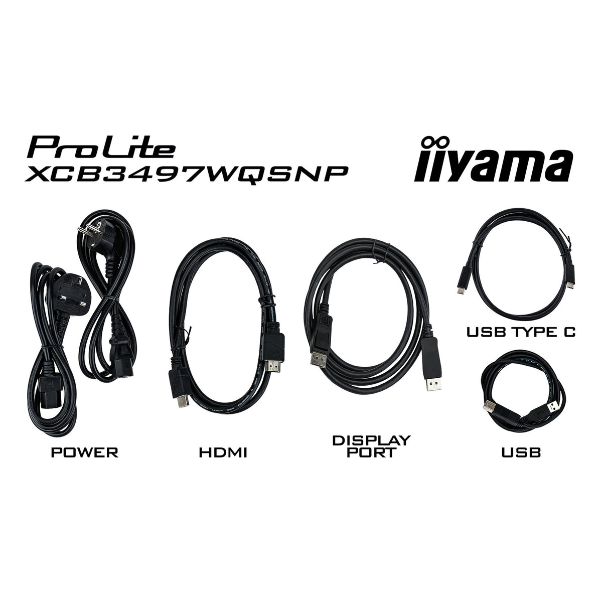 Iiyama Prolite
