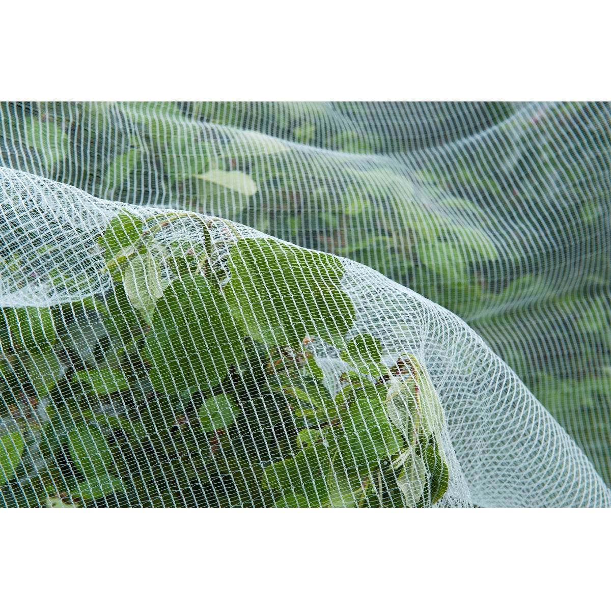 Moskitiera Nature, moskitiera o drobnych oczkach (biała przezroczysta, 5,2 x 5 m)