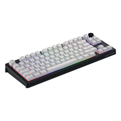 Hator skyfall mag ultra 8k rgb mechanisch gaming toetsenbord (zwart, us lay-out (qwerty), hator aurum ice, 80% (tkl), rgb, double-shot pbt, hot-swap)