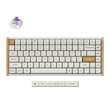 Keychron K2 HE-Q1 specjalna edycja klawiatury mechanicznej RGB (biała, układ US (QWERTY), mgławica magnetyczna z podwójną szyną Gateron, 75%, diody LED RGB, osa double-shot PBT, hot swap, 2,4 GHz | Bluetooth 5.2 | USB-C)