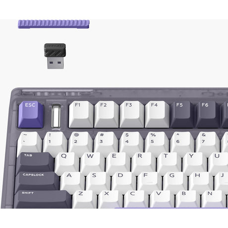 Bezprzewodowa klawiatura mechaniczna Iqunix og80 lavandin (lawenda, układ amerykański (qwerty), wiśniowy mx brązowy, 80% (tkl), możliwość wymiany podczas pracy, pbt, 2,4 GHz | bluetooth 5.1 | usb-c)