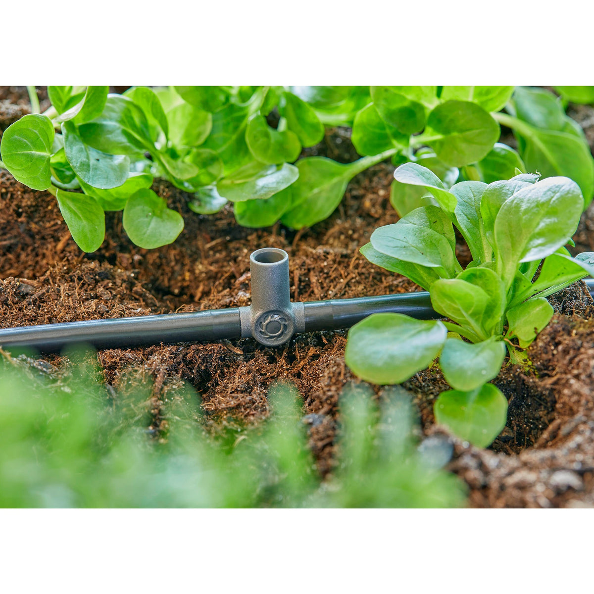 Gardena Trójnik do zraszaczy końcowych kroplowników 4,6 mm (3 16 ) przyłącze (ciemnoszary, 5 szt.)