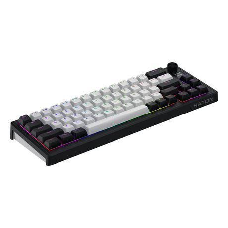 Hator skyfall mag ultima 8k wireless rgb mechanisch gaming toetsenbord (zwart, us lay-out (qwerty), hator aurum ice, 65%, rgb, double-shot pbt, hot-swap, 2.4ghz | bluetooth | usb-c)