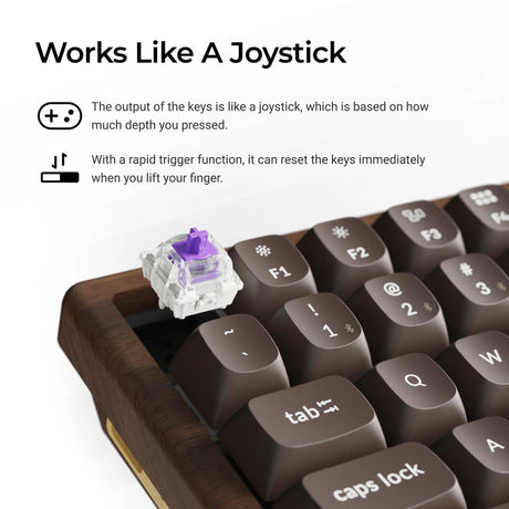 Keychron k2he all-wood special edition mechanisch toetsenbord (houtkleur, us lay-out (qwerty), gateron double-rail magnetic nebula, 75%, gateron double-rail magnetic, osa pbt double-shot, hot swap, bluetooth 5.2 | usb-c)
