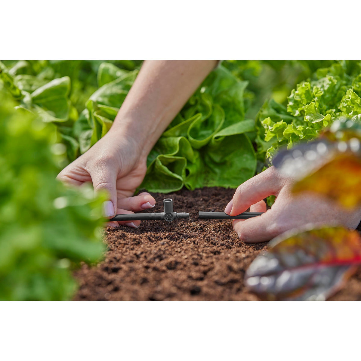 Gardena Trójnik do zraszaczy końcowych kroplowników 4,6 mm (3 16 ) przyłącze (ciemnoszary, 5 szt.)