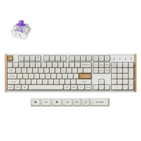 Klawiatura mechaniczna Keychron K10 HE-Q1 RGB (biała, układ US (QWERTY), mgławica magnetyczna Gateron z podwójną szyną, 100%, diody LED RGB, osa double-shot PBT, hot swap, USB-C | 2,4 GHz | Bluetooth 5.1)