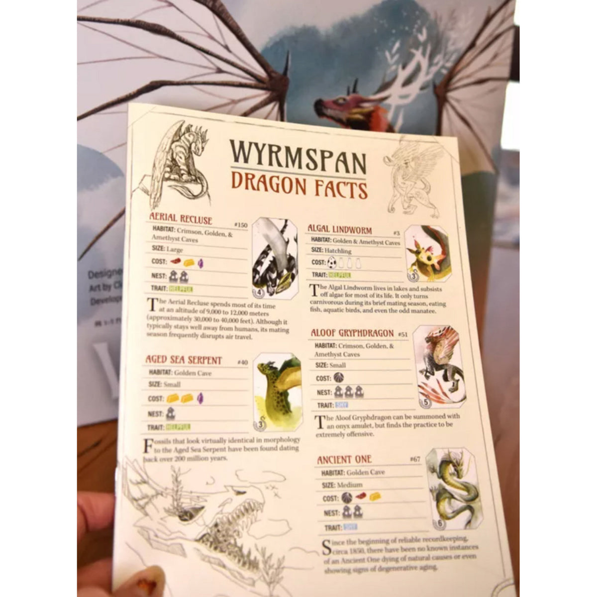 Asmodee wyrmspan – angielska gra planszowa