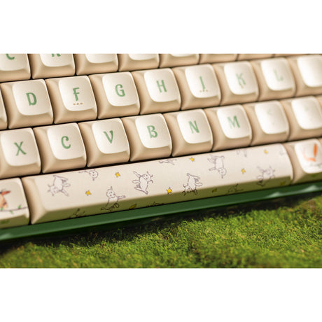 Mechaniczna klawiatura do gier Iqunix F97 Floral Date RGB (zielona, układ USA (Qwerty), iqunix Little Prince, 96%, diody RGB, możliwość wymiany podczas pracy, pbt, 2,4 GHz | bluetooth 5.1 | USB-C)