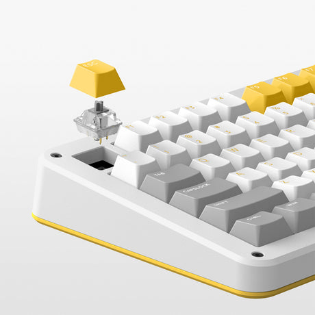 Bezprzewodowa klawiatura mechaniczna Ty iqunix zx75 gravi wave (szara, układ amerykański (qwer), gateron czerwony, 75%, diody rgb, możliwość wymiany podczas pracy, podwójny strzał pbt, 2,4 GHz | bluetooth 5.1 | usb-c)