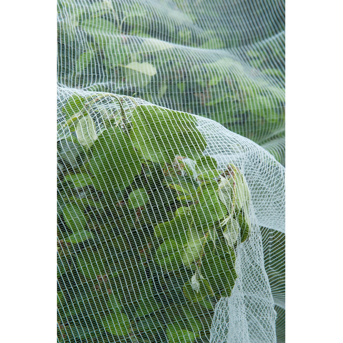 Moskitiera Nature, moskitiera o drobnych oczkach (biała przezroczysta, 5,2 x 5 m)