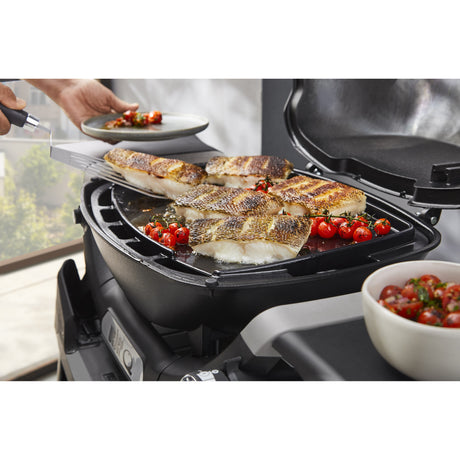 Weber kompletna plancha dla q 1100n q 1200n