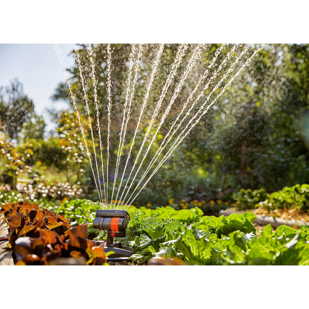 Zraszacz oscylacyjny Gardena Aquazoom Compact - zraszacz ogrodowy - od 9 do 216 m²