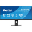Iiyama Prolite