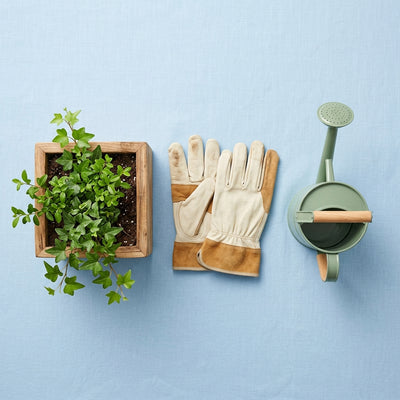 Home & Garden - Furniture, garden, accessories