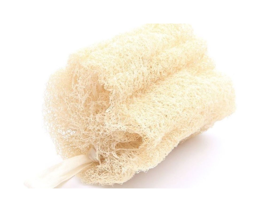 Gąbka Ecoluba luffa - duża