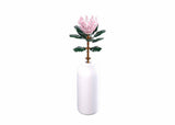 Kwiaty Slubana gigantyczne protea cynaroides 219 sztuk