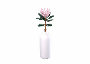 Kwiaty Slubana gigantyczne protea cynaroides 219 sztuk