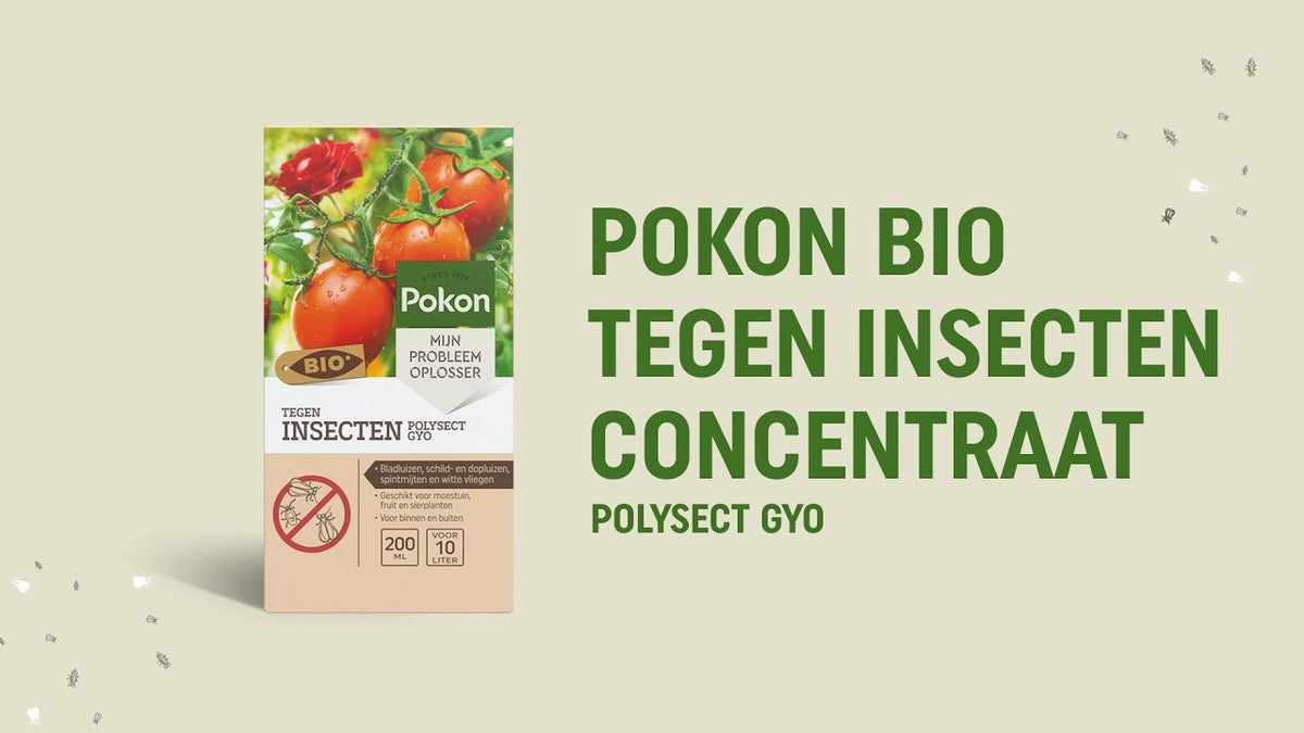 Pokon produkty bio przeciw owadom koncentrat 225ml Polysect Gyo