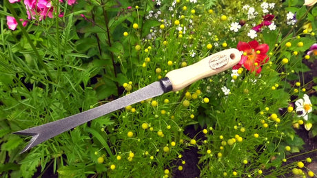 Produkty białe Organiczny nóż do mniszka lekarskiego z trzonkiem jesionowym 14 cm dewhite