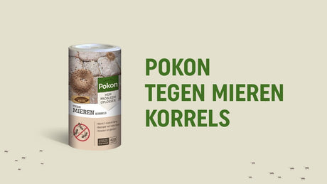Pokon przeciw mrówkom granulat 250gr - 7202010179