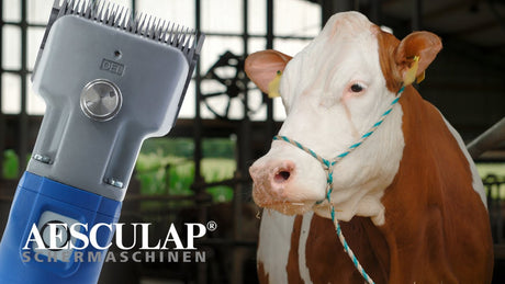 Produkty Aesculap econom nożyce do bydła econom cordless plus2 akumulatory 1