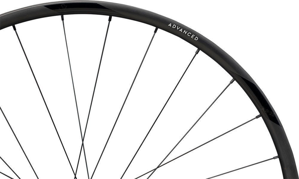 Tylne koło Newmen Advanced sl x.r.25 cl fade r 29