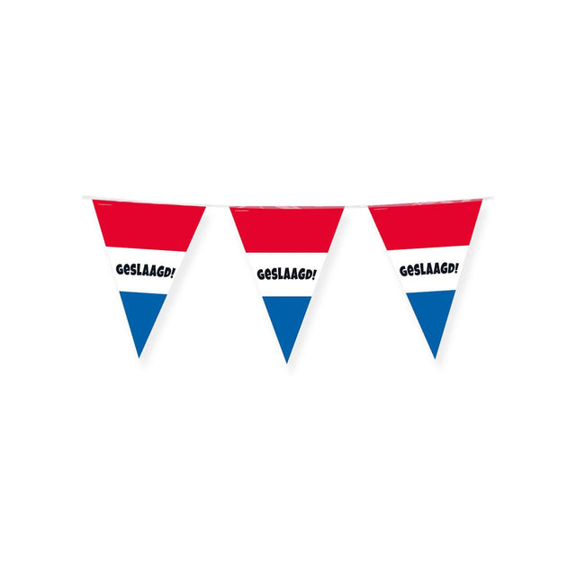 Paperdreams party flags geslaagd rood wit blauw