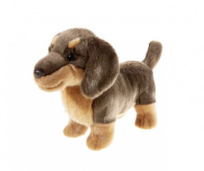 Jamnik Heunec (20cm)