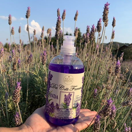 Pompka do mydła Nesti Dante Fiorentini Lavanda 500ml
