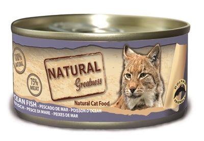 Naturalna wielkość Kat Ocean Fish