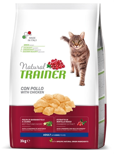 Naturalny trener dorosły kurczak