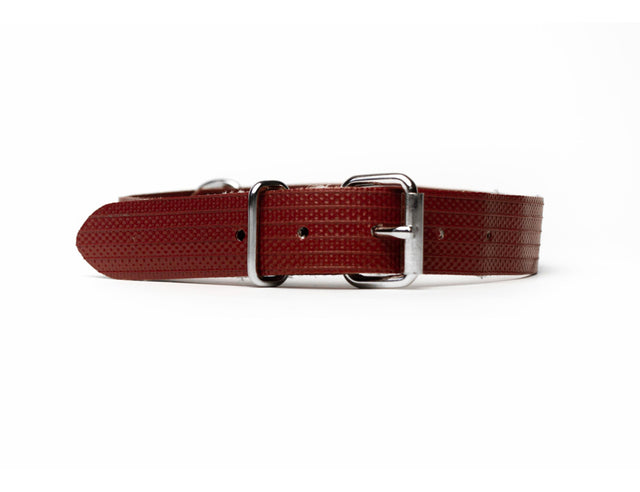 Bendl Dog Collar Band Fire Wąż czerwony rozmiar m